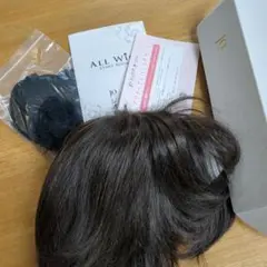 2025年最新】ジュリア オージェ ウィッグの人気アイテム - メルカリ