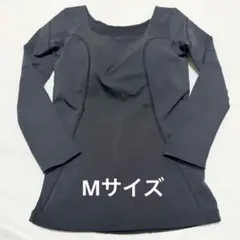 【美品】LAVA リントスル パーフェクトフォームトップス Mサイズ