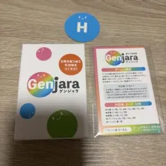 ゲンジャラ genjara ボードゲーム