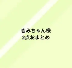 きみちゃん様 リクエスト 2点 まとめ商品