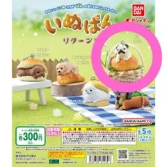いぬぱん リターンズ パグ カプセルトイ