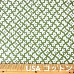 Item thumbnail for item 3dc88977-9161-42da-9e2a-8e42cfd409d1