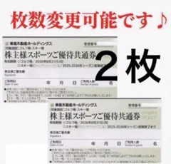 スキー場 リフト券 割引券2枚♪ハンターマウンテン塩原 ニセコ東急グランヒラフk