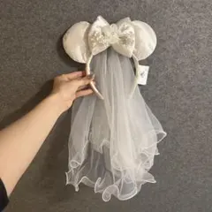 海外ディズニー　ベール付きカチューシャ