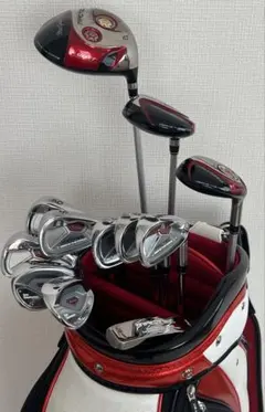 【超豪華】マグレガー MACTEC メンズ ゴルフクラブ 12本セット