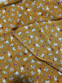 Item thumbnail for item b8479fe3-8a66-4868-983d-e2a734131947