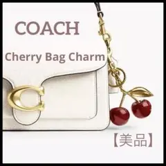 2025年最新】coach キーホルダー リンゴの人気アイテム - メルカリ