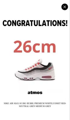 NIKE AIR MAX 95 レッドグラデ 26cm Big Bubble
