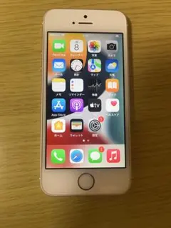 Apple iPhone SE 本体　アウトカメラ不良