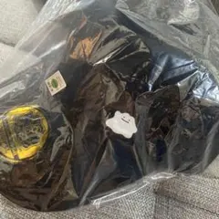 ぽこあポケモン キャップ エディオン予約特典