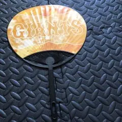 Item thumbnail for item 6b5b1f0f-c6d3-4511-a91f-a722bccb554e