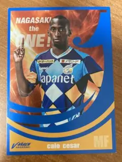 Item thumbnail for item 488c89a8-2a2e-4b3f-9a86-8e8fd7d4d40c