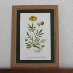 2025年最新】ミナペルホネン ポスターの人気アイテム - メルカリ