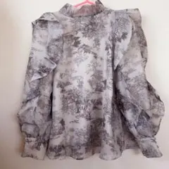 SNIDEL スナイデル オーガンシースルーブラウス トワルドジュイ トップス