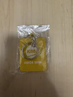 Item thumbnail for item 4f6023a0-911d-4ae3-9e7c-67a0113c3d01