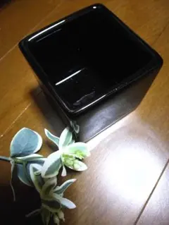 Item thumbnail for item f0168aa7-49ce-41c3-a166-f58a8a2ab5ef