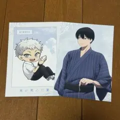 ヒカルが死んだ夏 アニメイトフェア特典 ポストカード ヒカル 佳紀