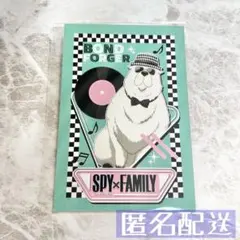 SPY×FAMILY ボンド　タワレコカフェ　非売品ポストカード等身
