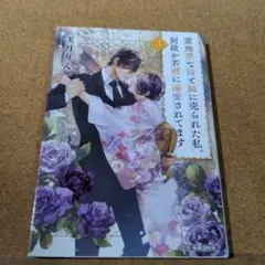 意地悪な母と姉に売られた私。何故か若頭に溺愛されてます. 3