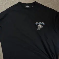 Item thumbnail for item 858db334-c83b-4a6c-9626-c1ccda11554b