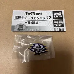 ハイキュー　高校モチーフピンバッジ2 宮城県編