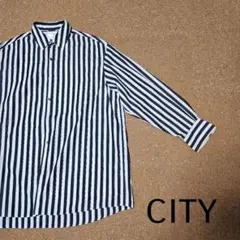 Item thumbnail for item 02eb709b-5b4c-45c1-9459-65ecc36876c3