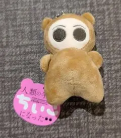 Item thumbnail for item a1e75b61-78c4-46eb-b6a7-03af3af67b50