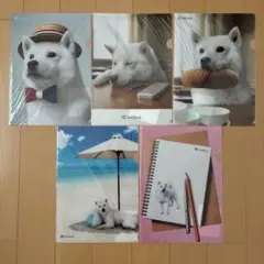 SoftBank 白い犬 お父さんクリアファイル 5枚セット　ソフトバンク