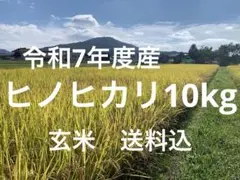 令和7年度産ヒノヒカリ10kg(玄米)送料込　農家のお米のサムネイル