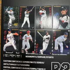 カルビー　プロ野球チップス　2004 スターカード　黒版　高橋由伸　川上憲伸