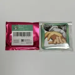 竈門炭治郎 冨岡義勇 鬼滅の刃 隊士百景 マニアック缶バッジ マニ缶