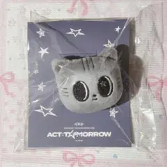 プルバトゥ まとめ売り セット 初期グッズ プルバトゥ'POP-UP STORE＜PPULBATU WARI WARI＞詳細