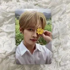 Stray Kids NOEASY お花トレカ ノイジー スキズ　リノ