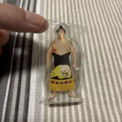 相撲　若元春　アクリルスタンド 力士　アクスタ