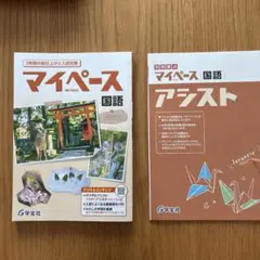 マイペース 国語 3年生 問題集のサムネイル