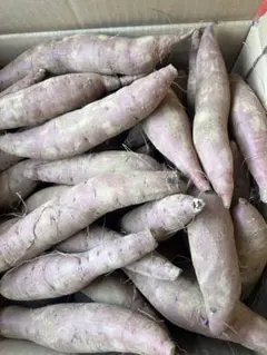 専用 ふくむらさき 20kg(箱込) S(約100g～200g) 茨城県産 - メルカリ