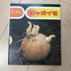 ジャガイモ カラー自然シリーズ 51