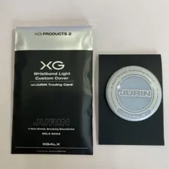 2025年最新】xg ペンライト カスタムの人気アイテム - メルカリ