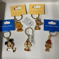 東京ディズニーリゾート キャラクターキーホルダー 5個セット