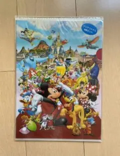 東京ディズニーリゾート TDR クリアファイル A4 ミッキー ミニー