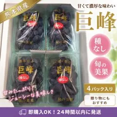 贈答用/種なしピオーネ/ニューピオーネ/青秀品/山梨県笛吹市産/約1.4kg