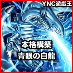 2026年最新】原石青眼 デッキの人気アイテム - メルカリ