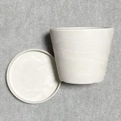 樹脂製 植木鉢 多肉植物におすすめ！のサムネイル
