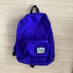 DEADSTOCKAiguille Alpine Equipment デイパック