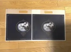 Item thumbnail for item a153a542-d95c-4fd9-b24e-c12d0bf7425a