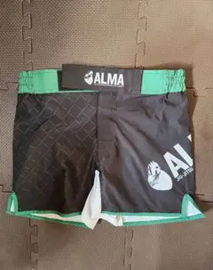 Item thumbnail for item c16a9a19-c341-4a48-b4d7-05186eba5c82