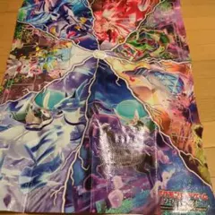 ポケモンファン　ふろく