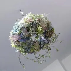 スモークツリー インテリア