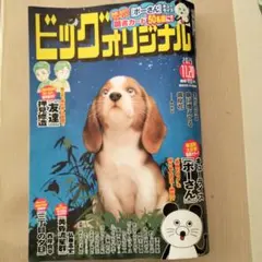 ★ビッグオリジナル★ 2025年11月20日号★
