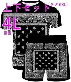 4L 大きいサイズ メンズ Tシャツ ハーフパンツ 上下セット ペイズリー柄 黒